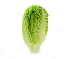 Imagen Lechuga Baby - Enero