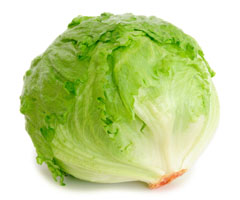 Imagen Lechuga Iceberg - Enero